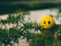 Yellow ball with smile hiding in water-logged grass.