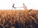 Harvest with 2 people in background shaking hands