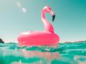 A pink inflatable flamingo on top of water