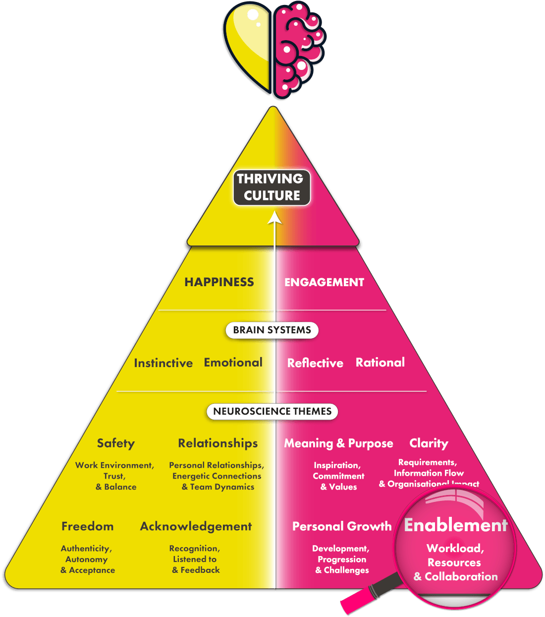 Enablement neuroscience theme on pyramid diagram