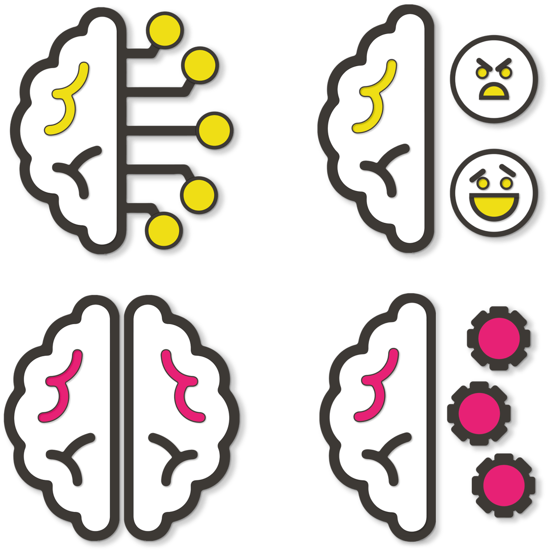 The four brain systems