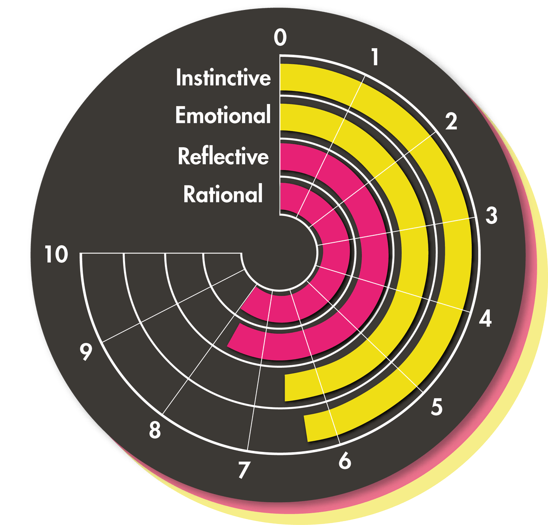 Platform screenshot showing instinctive, emotional, reflective and rational results