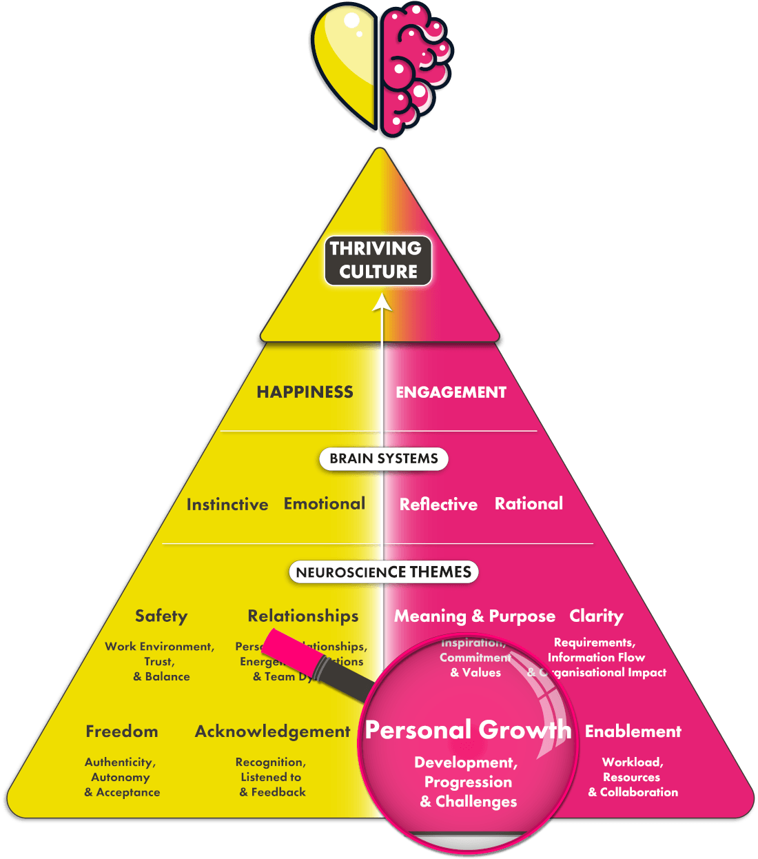 Personal growth neuroscience theme on pyramid diagram