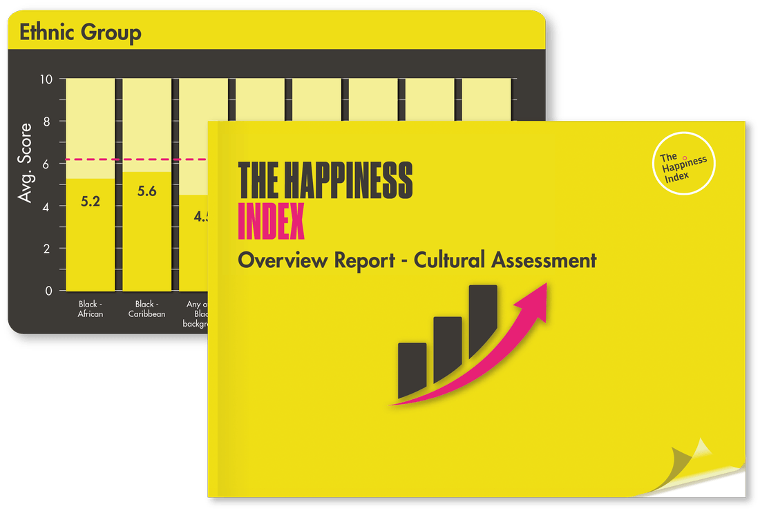 Our culturual assessment report cover and some ethnic group data from the platform