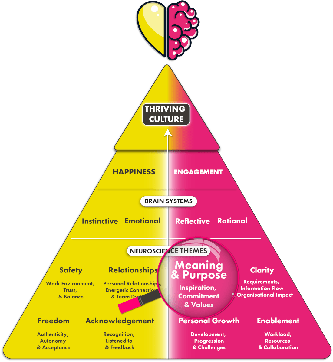 Meaning & purpose neuroscience theme on pyramid diagram