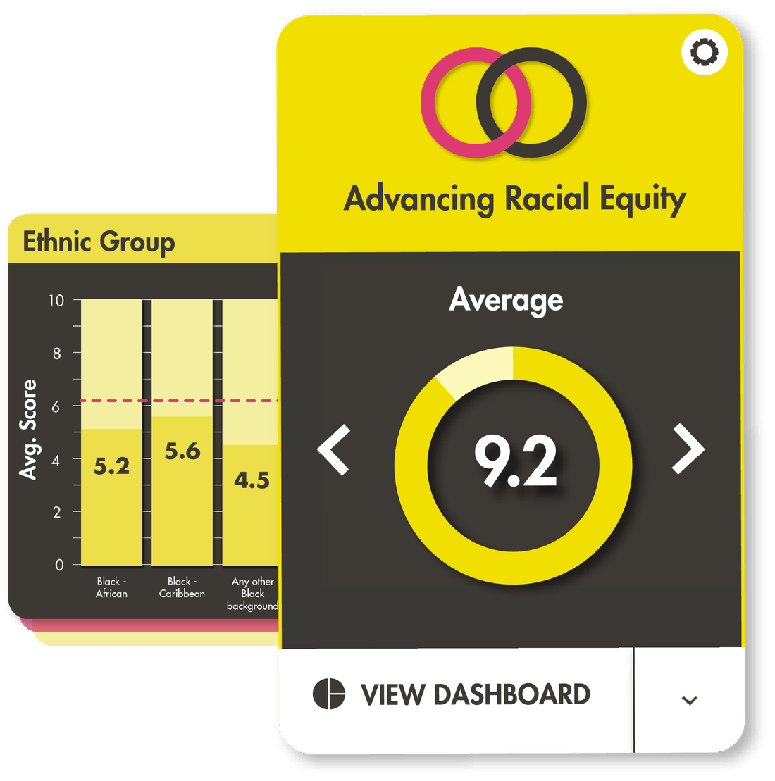 Platform image showing ethnic group and racial equity results
