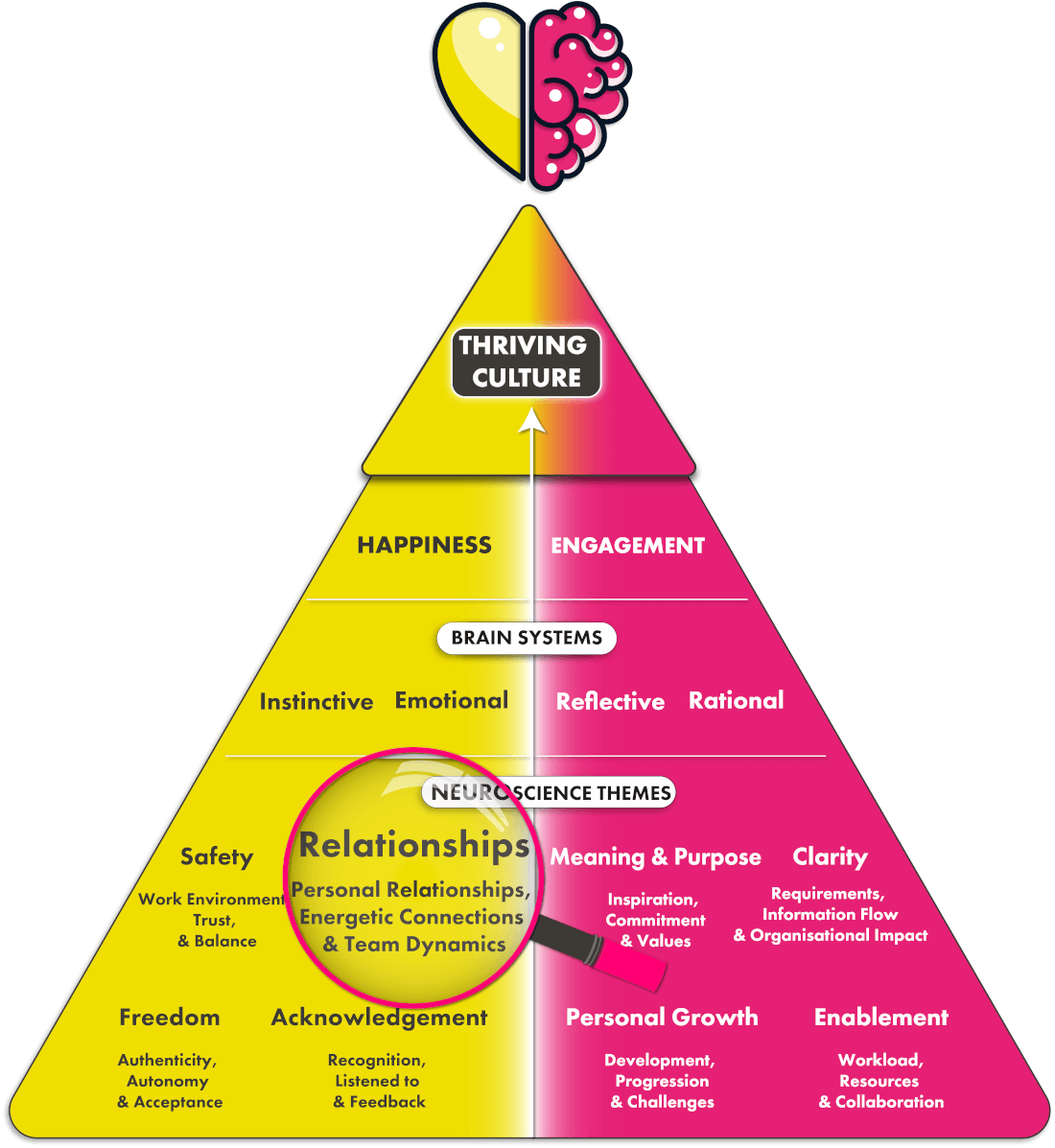 Relationships neuroscience theme on pyramid diagram