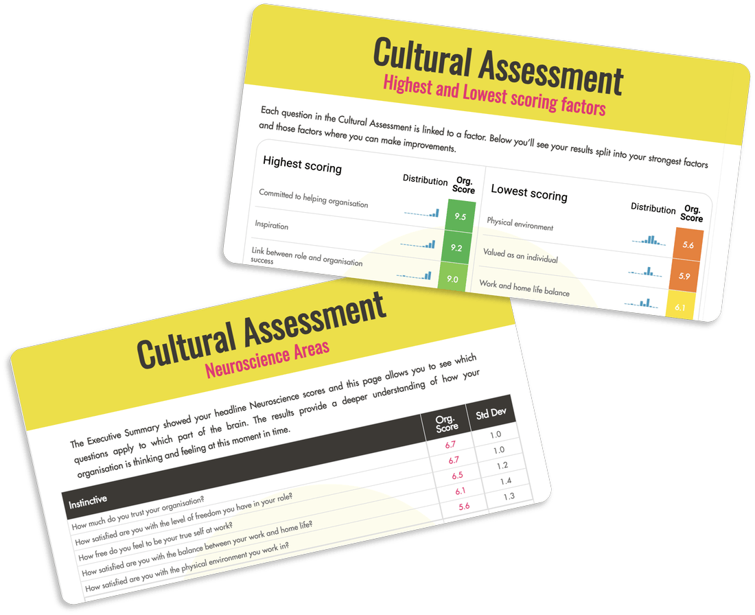 Bespoke cultural assessment reports