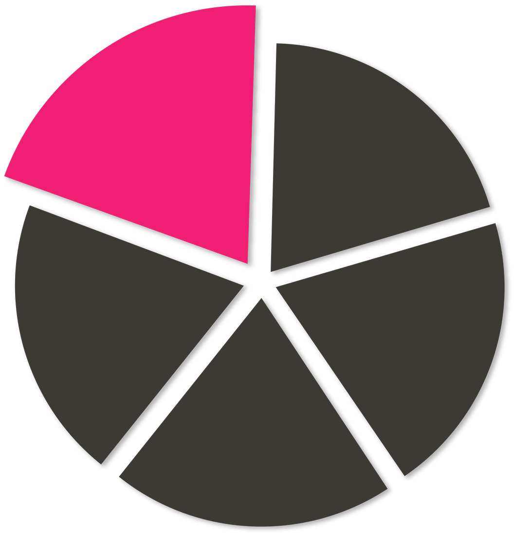A chart showing one fifth of a circle highlighted in pink