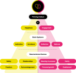 The Happiness Index neuroscience methodology pyramid