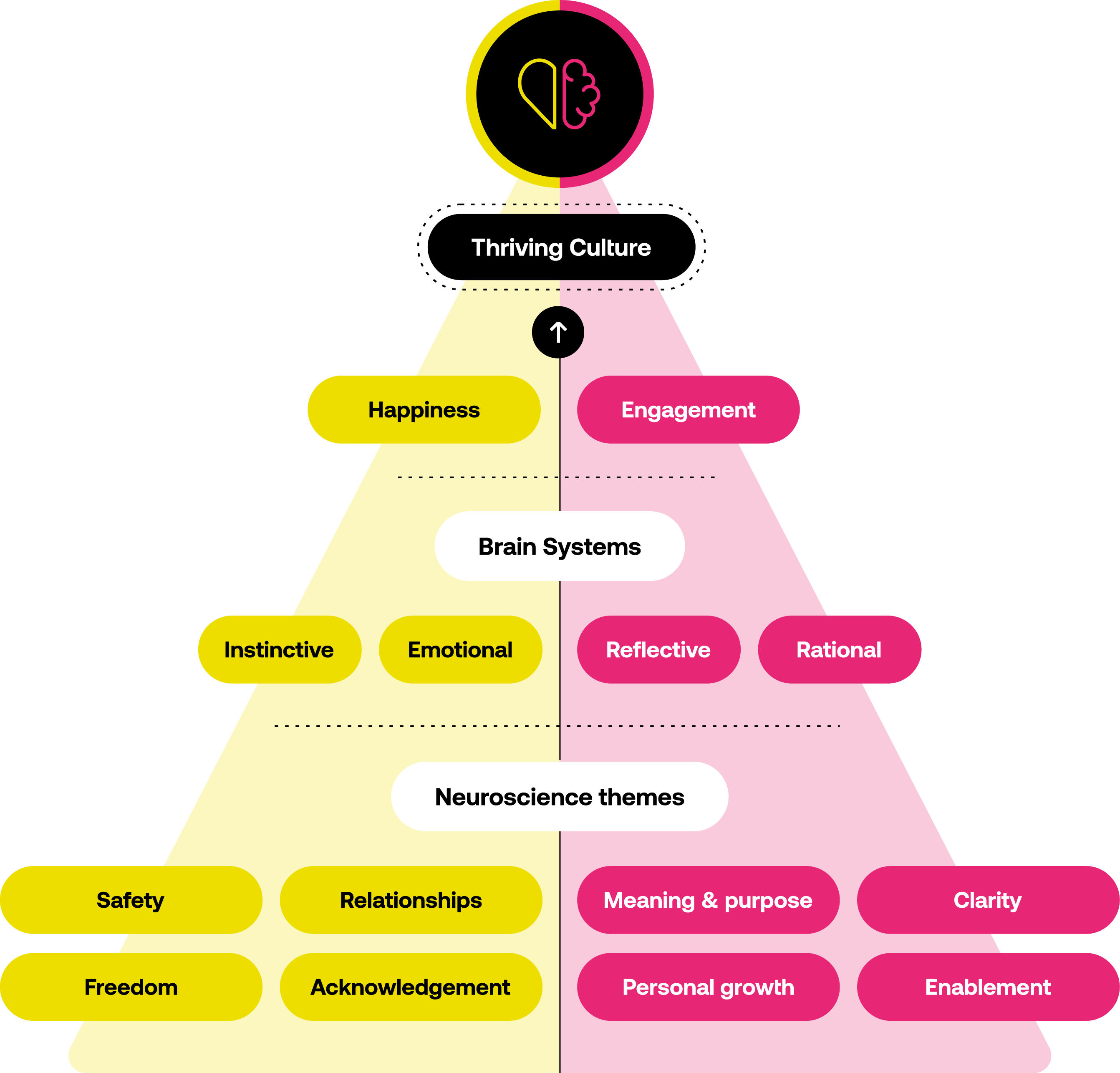 The Happiness Index neuroscience methodology pyramid
