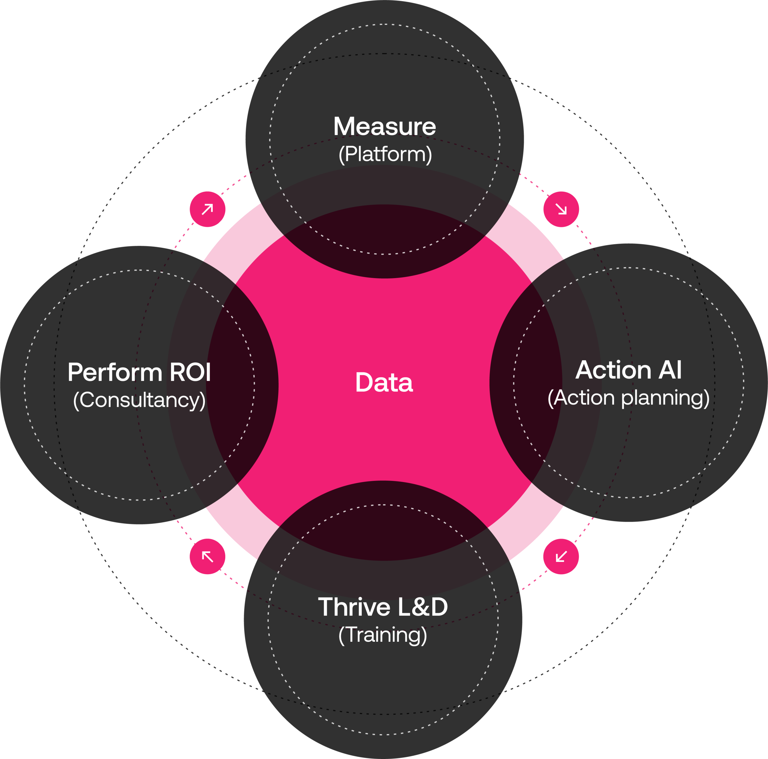A circular diagram with a central pink circle labeled